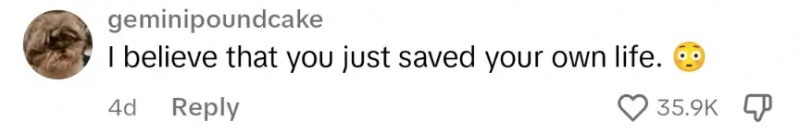 Un comentarista dice:"I believe that you just saved your own life."