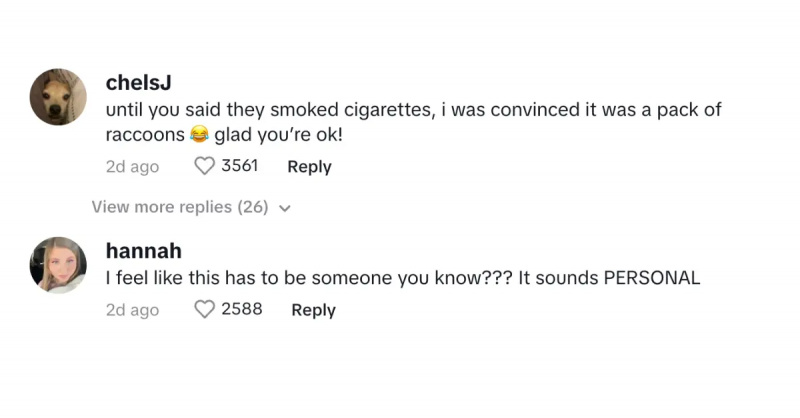 tiktok kommentar om kvinna's bizarre apartment break-in